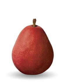 Red Anjou Pear